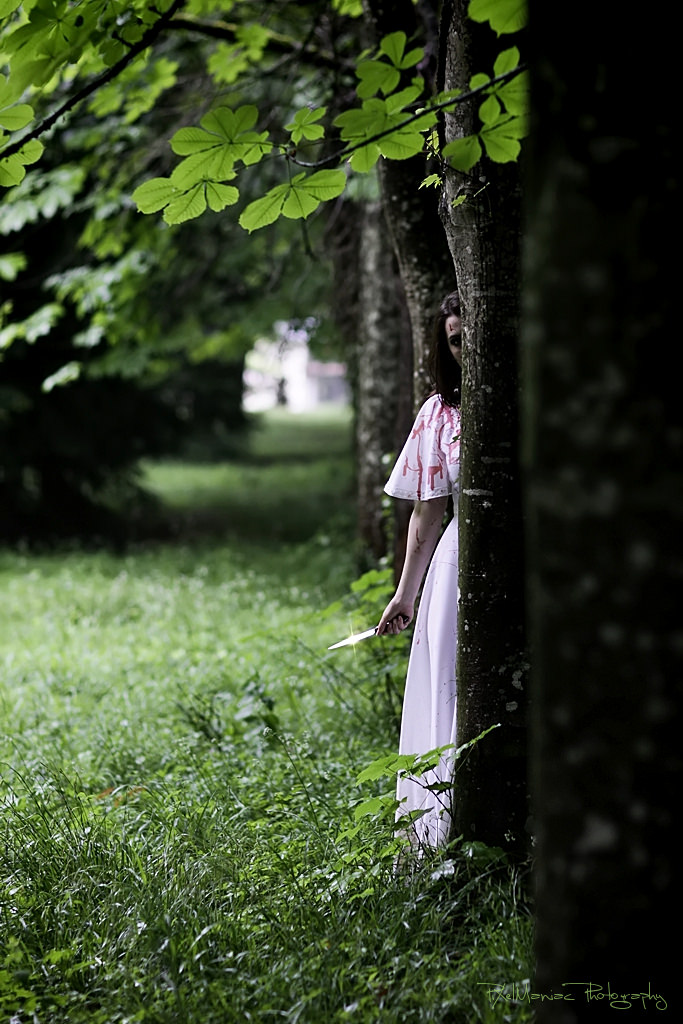 IMG 6922 2 8800029190